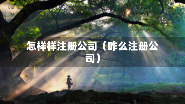 怎樣樣注冊公司（咋么注冊公司）