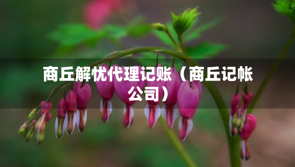 商丘解憂代理記賬（商丘記帳公司）