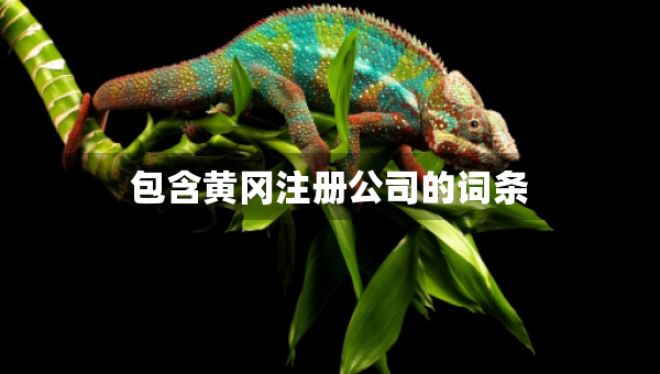 包含黃岡注冊公司的詞條