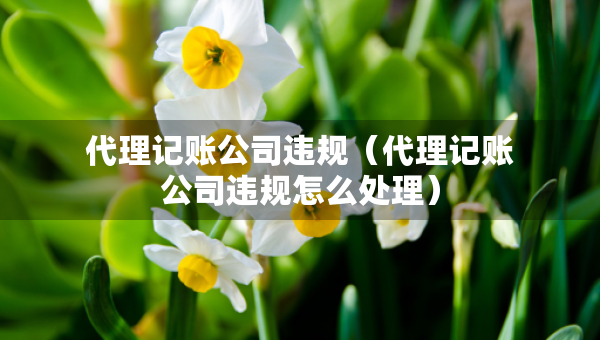 代理記賬公司違規(guī)（代理記賬公司違規(guī)怎么處理）