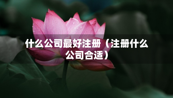 什么公司最好注冊(cè)（注冊(cè)什么公司合適）