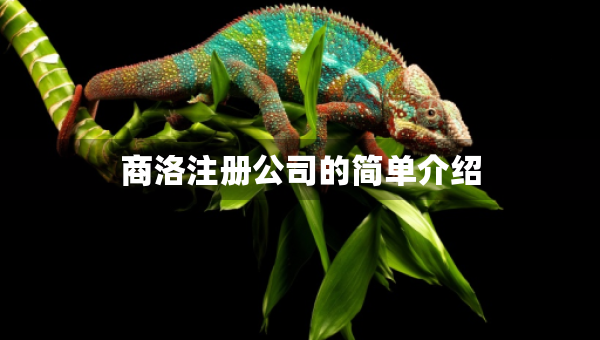 商洛注冊公司的簡單介紹