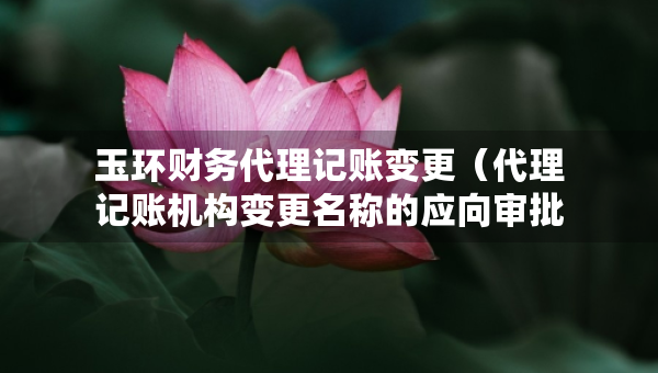 玉環(huán)財務(wù)代理記賬變更（代理記賬機構(gòu)變更名稱的應(yīng)向?qū)徟鷻C關(guān)提交什么）