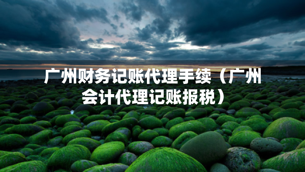 廣州財(cái)務(wù)記賬代理手續(xù)（廣州會(huì)計(jì)代理記賬報(bào)稅）