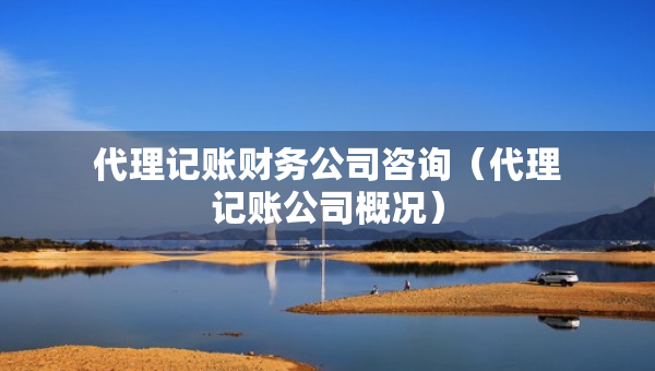 代理記賬財(cái)務(wù)公司咨詢（代理記賬公司概況）