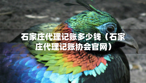 石家莊代理記賬多少錢（石家莊代理記賬協(xié)會官網(wǎng)）
