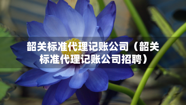 韶關標準代理記賬公司（韶關標準代理記賬公司招聘）
