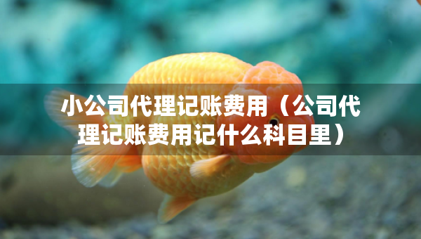 小公司代理記賬費(fèi)用（公司代理記賬費(fèi)用記什么科目里）