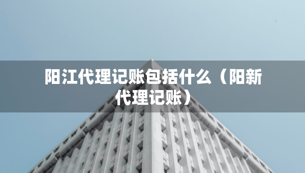 陽江代理記賬包括什么（陽新代理記賬）