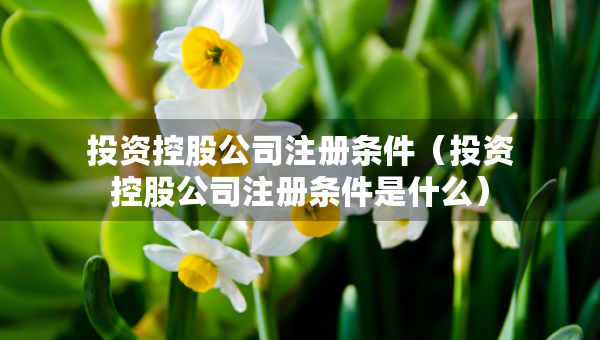 投資控股公司注冊條件（投資控股公司注冊條件是什么）