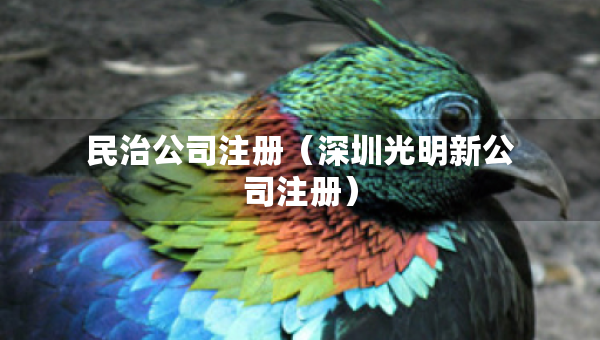 民治公司注冊（深圳光明新公司注冊）