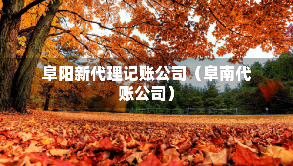 阜陽新代理記賬公司（阜南代賬公司）
