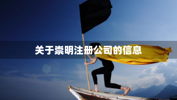 關(guān)于崇明注冊公司的信息