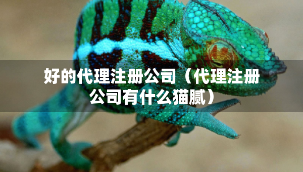 好的代理注冊(cè)公司（代理注冊(cè)公司有什么貓膩）