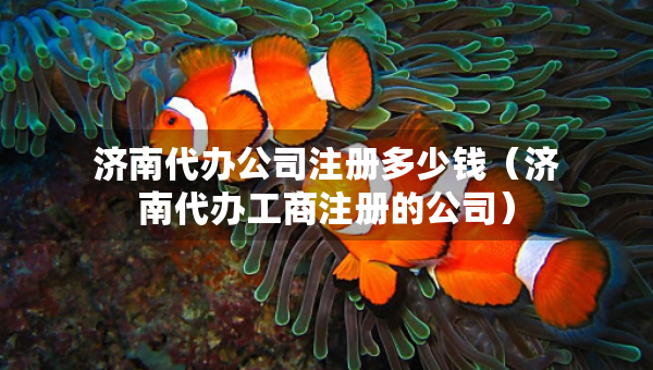 濟(jì)南代辦公司注冊(cè)多少錢（濟(jì)南代辦工商注冊(cè)的公司）