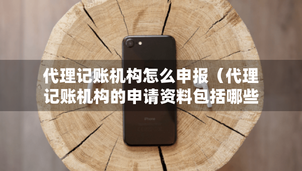 代理記賬機(jī)構(gòu)怎么申報(bào)（代理記賬機(jī)構(gòu)的申請(qǐng)資料包括哪些）