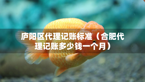 廬陽區(qū)代理記賬標準（合肥代理記賬多少錢一個月）