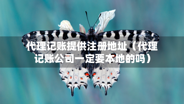 代理記賬提供注冊(cè)地址（代理記賬公司一定要本地的嗎）