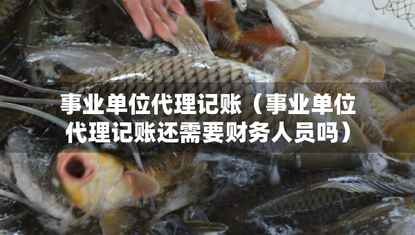 事業(yè)單位代理記賬（事業(yè)單位代理記賬還需要財(cái)務(wù)人員嗎）