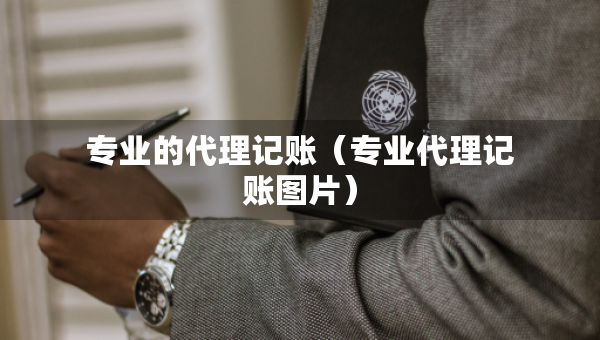 專業(yè)的代理記賬（專業(yè)代理記賬圖片）