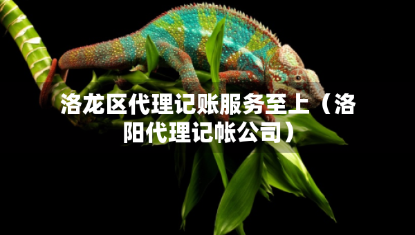 洛龍區(qū)代理記賬服務至上（洛陽代理記帳公司）