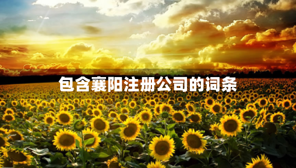 包含襄陽注冊公司的詞條