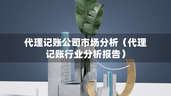 代理記賬公司市場分析（代理記賬行業(yè)分析報告）