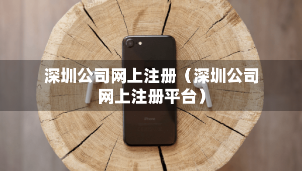 深圳公司網(wǎng)上注冊(cè)（深圳公司網(wǎng)上注冊(cè)平臺(tái)）