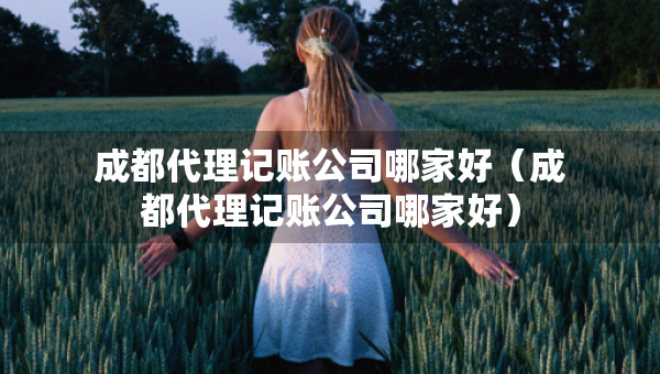 成都代理記賬公司哪家好（成都代理記賬公司哪家好）
