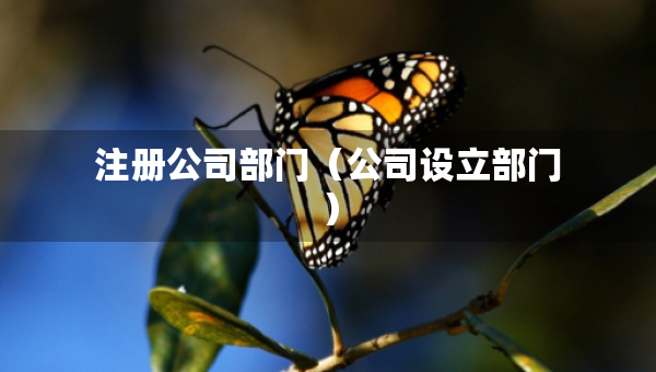 注冊公司部門（公司設(shè)立部門）