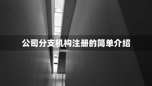 公司分支機構(gòu)注冊的簡單介紹