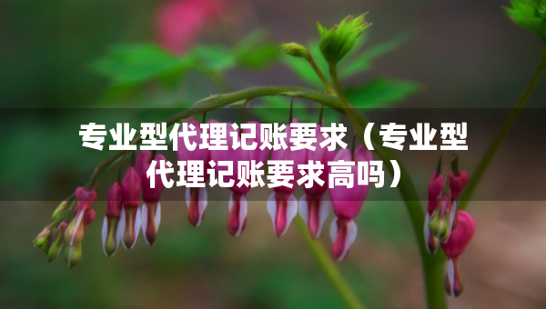 專業(yè)型代理記賬要求（專業(yè)型代理記賬要求高嗎）