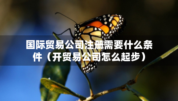 國(guó)際貿(mào)易公司注冊(cè)需要什么條件（開(kāi)貿(mào)易公司怎么起步）