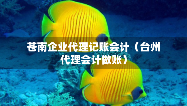蒼南企業(yè)代理記賬會(huì)計(jì)（臺(tái)州代理會(huì)計(jì)做賬）