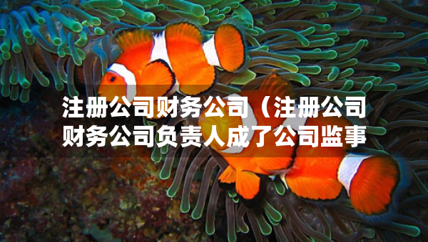 注冊公司財(cái)務(wù)公司（注冊公司財(cái)務(wù)公司負(fù)責(zé)人成了公司監(jiān)事）