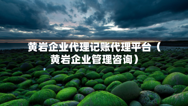 黃巖企業(yè)代理記賬代理平臺(tái)（黃巖企業(yè)管理咨詢）