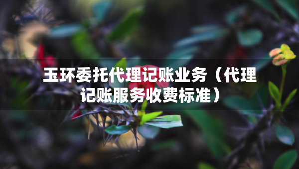 玉環(huán)委托代理記賬業(yè)務(wù)（代理記賬服務(wù)收費(fèi)標(biāo)準(zhǔn)）