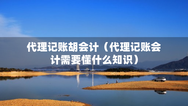 代理記賬胡會(huì)計(jì)（代理記賬會(huì)計(jì)需要懂什么知識(shí)）
