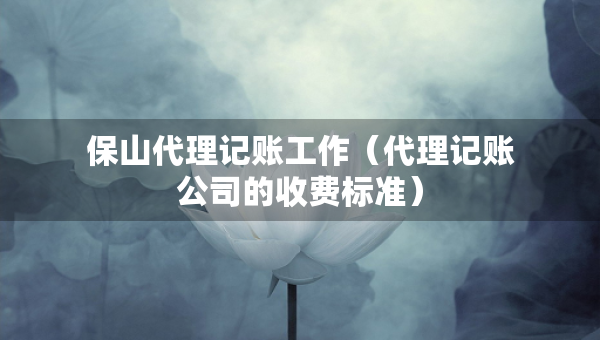 保山代理記賬工作（代理記賬公司的收費(fèi)標(biāo)準(zhǔn)）