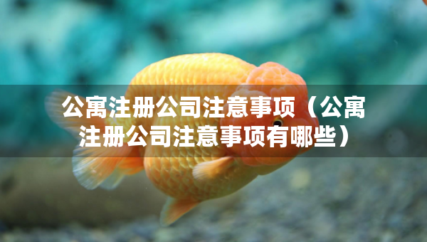 公寓注冊(cè)公司注意事項(xiàng)（公寓注冊(cè)公司注意事項(xiàng)有哪些）