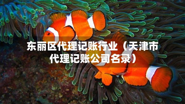 東麗區(qū)代理記賬行業(yè)（天津市代理記賬公司名錄）