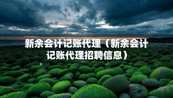 新余會(huì)計(jì)記賬代理（新余會(huì)計(jì)記賬代理招聘信息）