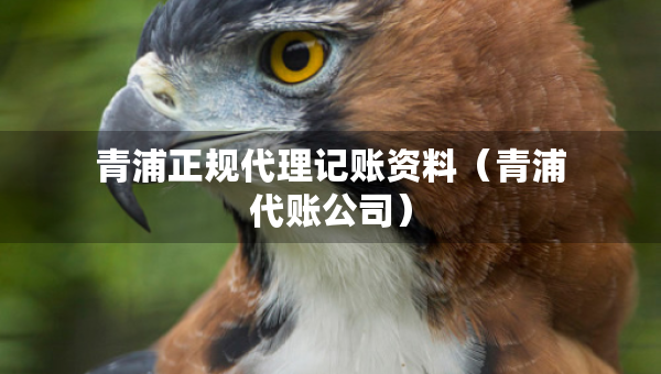 青浦正規(guī)代理記賬資料（青浦代賬公司）