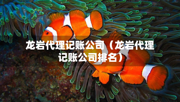 龍巖代理記賬公司（龍巖代理記賬公司排名）