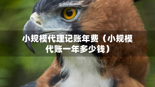 小規(guī)模代理記賬年費（小規(guī)模代賬一年多少錢）