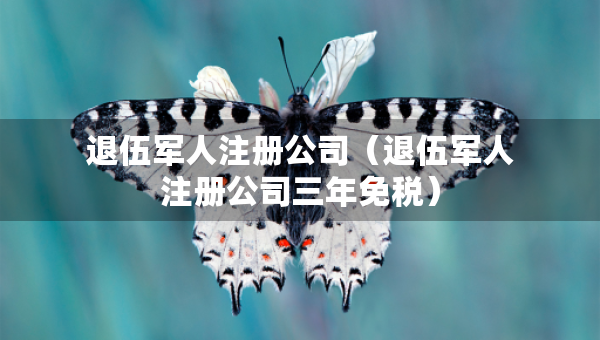 退伍軍人注冊(cè)公司（退伍軍人注冊(cè)公司三年免稅）