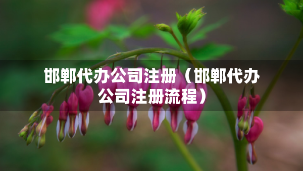 邯鄲代辦公司注冊（邯鄲代辦公司注冊流程）