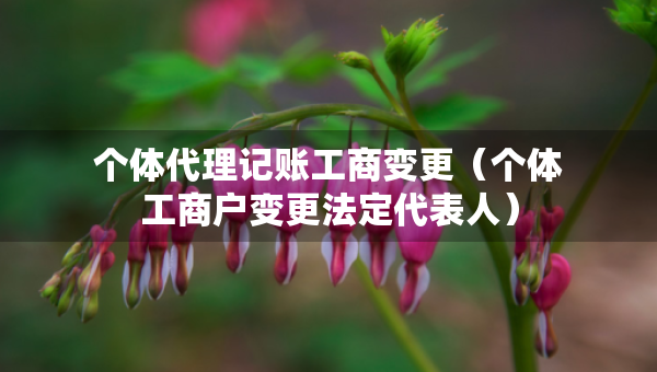 個體代理記賬工商變更（個體工商戶變更法定代表人）