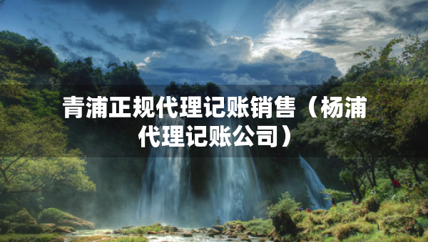 青浦正規(guī)代理記賬銷售（楊浦代理記賬公司）