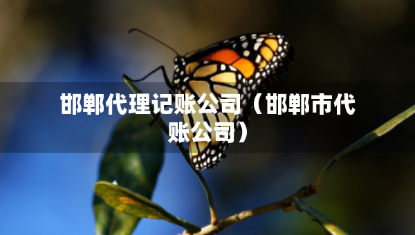 邯鄲代理記賬公司（邯鄲市代賬公司）
